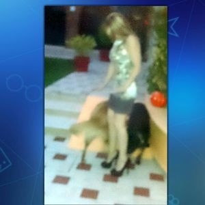 Meet your Posher, Mago